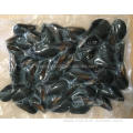 High quality tasty and delicious frozen boiled mussel with factory price